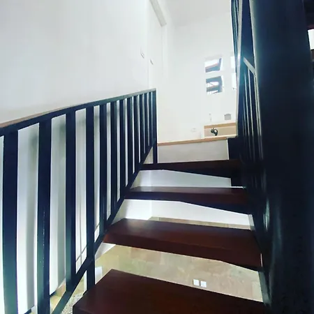 Apartment Tocororo *